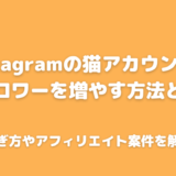 猫のインスタでフォロワーを増やして人気になる方法とは？稼ぐ方法や収入事情についても解説